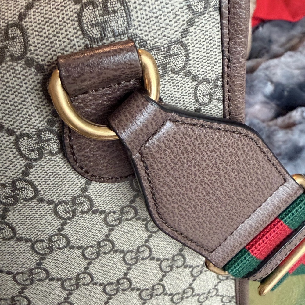 Gucci Beige and Brown Monogram Bag - Picture 7 of 16